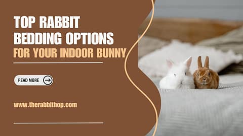 Top Rabbit Bedding Options for Your Indoor Bunny