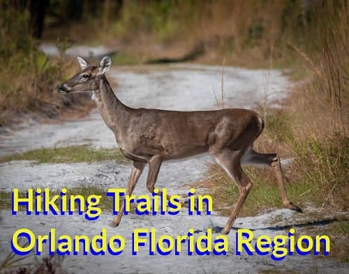 10 Hiking Trails in Orlando Florida Region