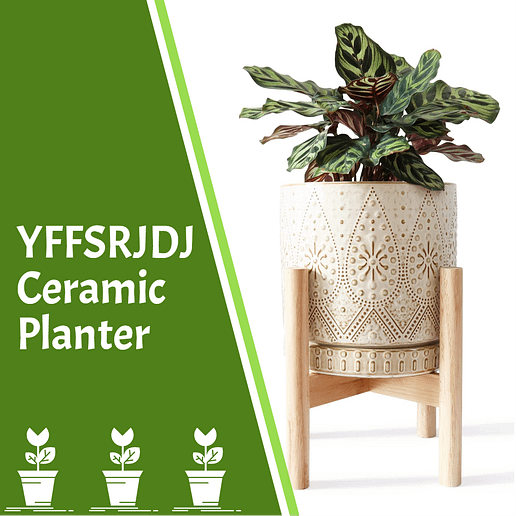 YFFSRJDJ Ceramic Planter
