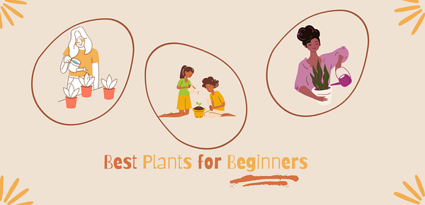 Best Plants for Beginners