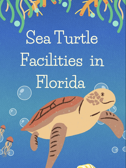 Sea Turtle Facilities in Florida