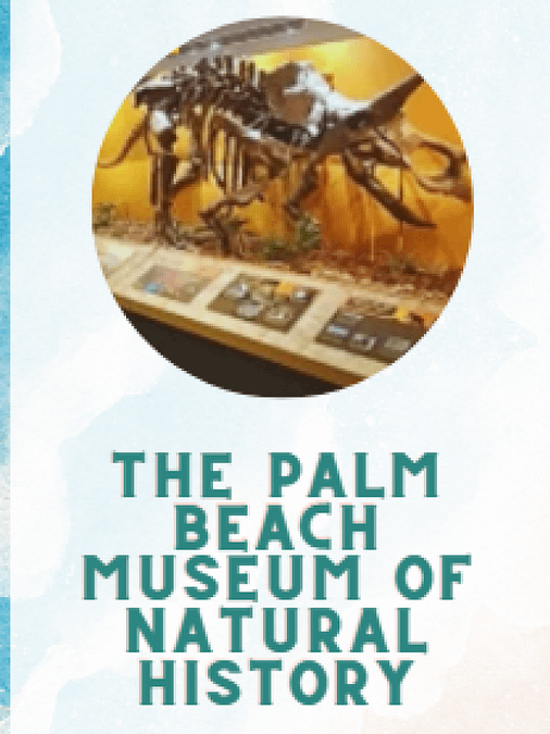 THE PALM BEACH MUSEUM OF NATURAL HISTORY