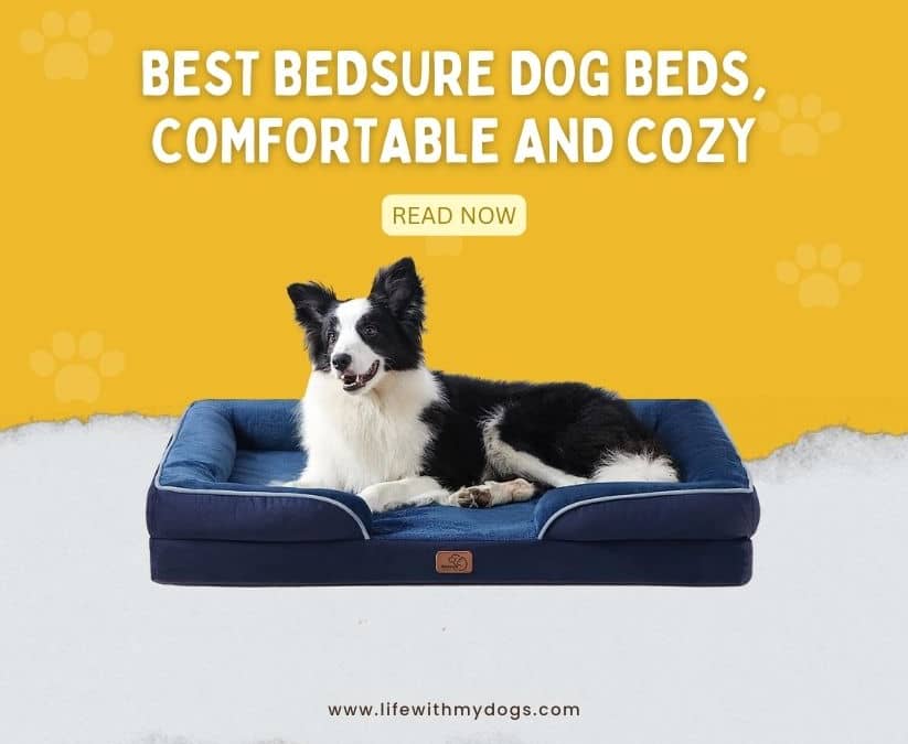 Best BedSure Dog Beds, Comfortable and Cozy
