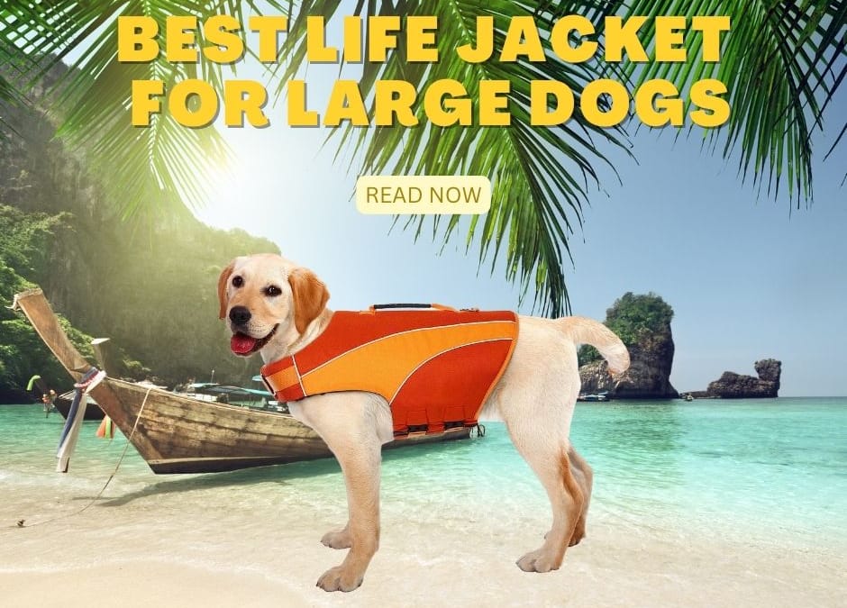 Best Life Jacket for Large Dogs
