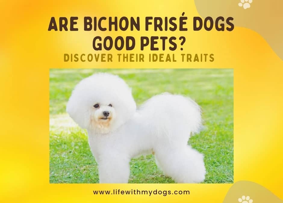 Are Bichon Frisé Dogs Good Pets? Discover Their Ideal Traits
