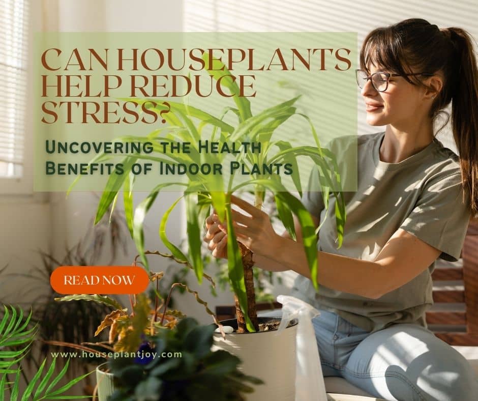 Can Houseplants Help Reduce Stress? Uncovering the Health Benefits of Indoor Plants