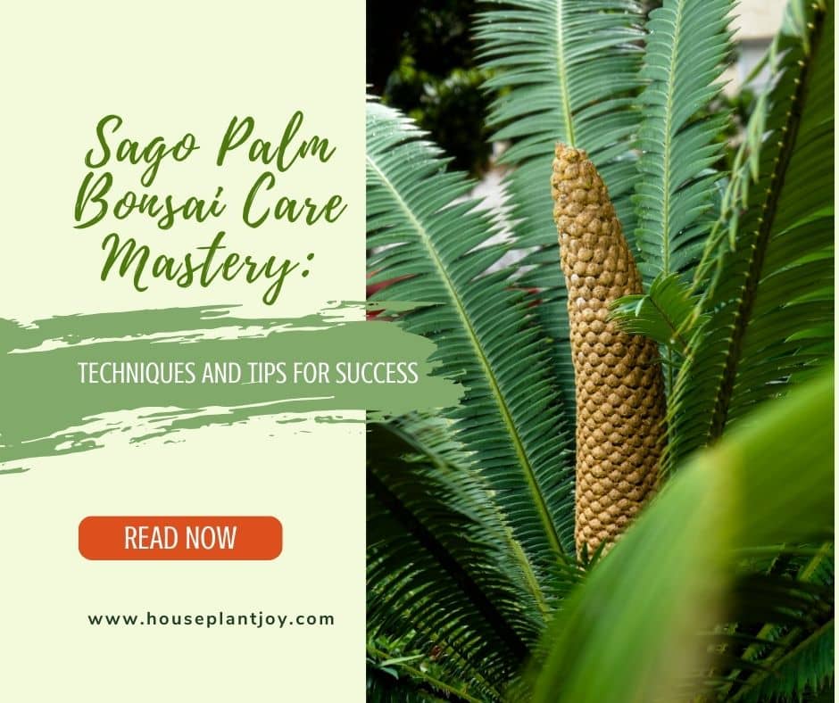 Sago Palm Bonsai Care Mastery Techniques and Tips for Success