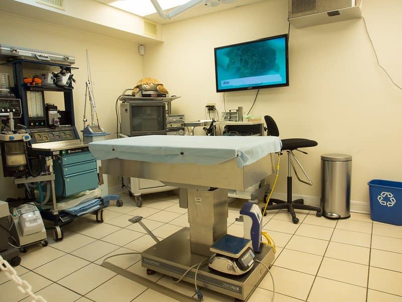 Operation table in turtle hospital, Marathon, FL / Flickr / Yuxuan Wang