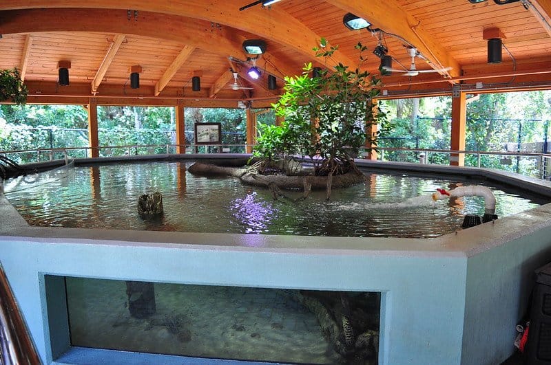 Aquariums in Gumbo Limbo Nature Center / Flickr / Fred Prager