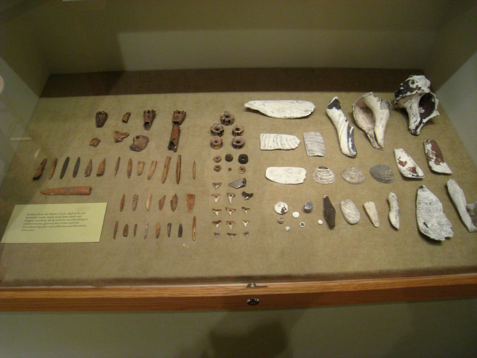 Artifacts collection