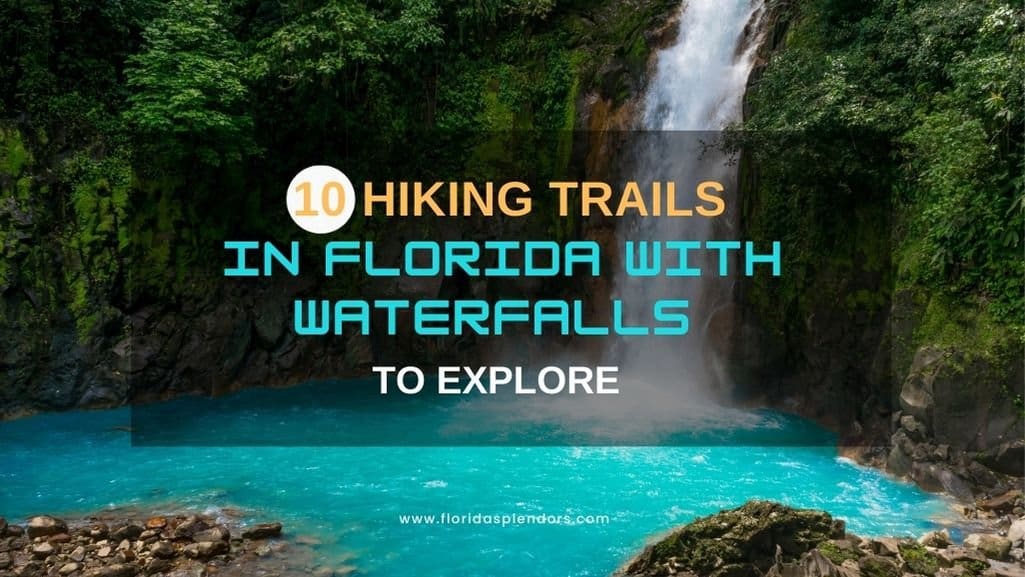 10 Hiking Trails in Florida With Waterfalls to Explore