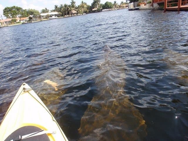 kayak trails in south florida