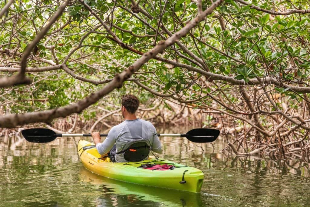 a person kayaking in a man kayaking in Ocklawaha River