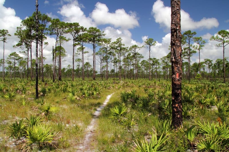 Safety Rules For Hiking In Florida