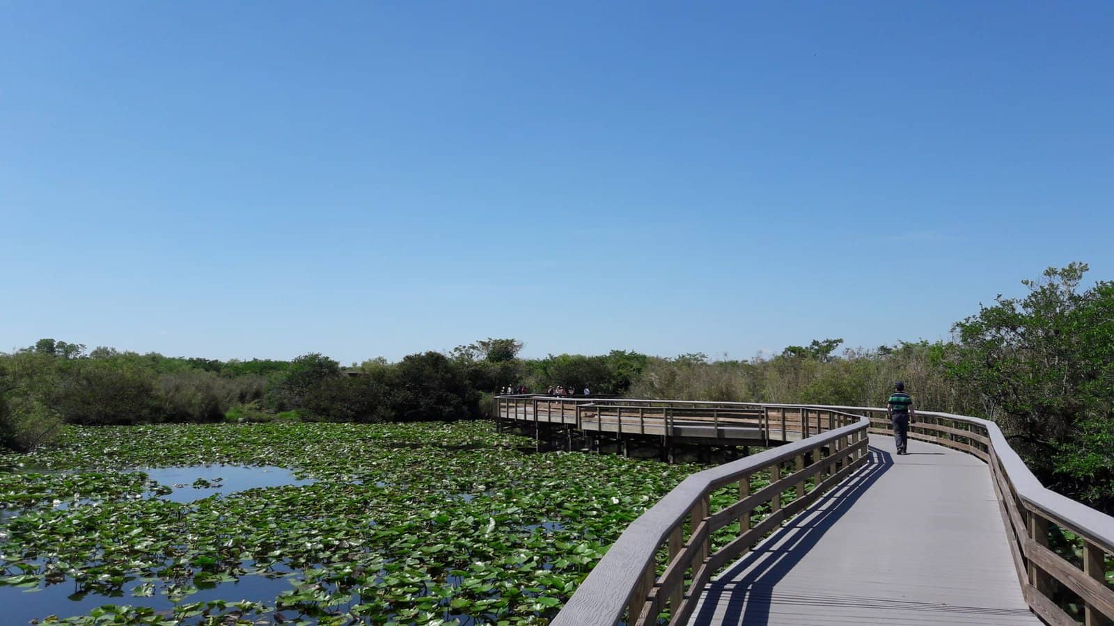 Everglades National Park In Florida