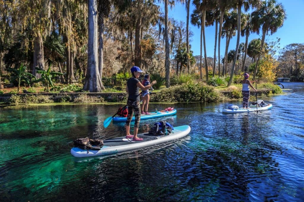 Best Paddleboarding In Central Florida