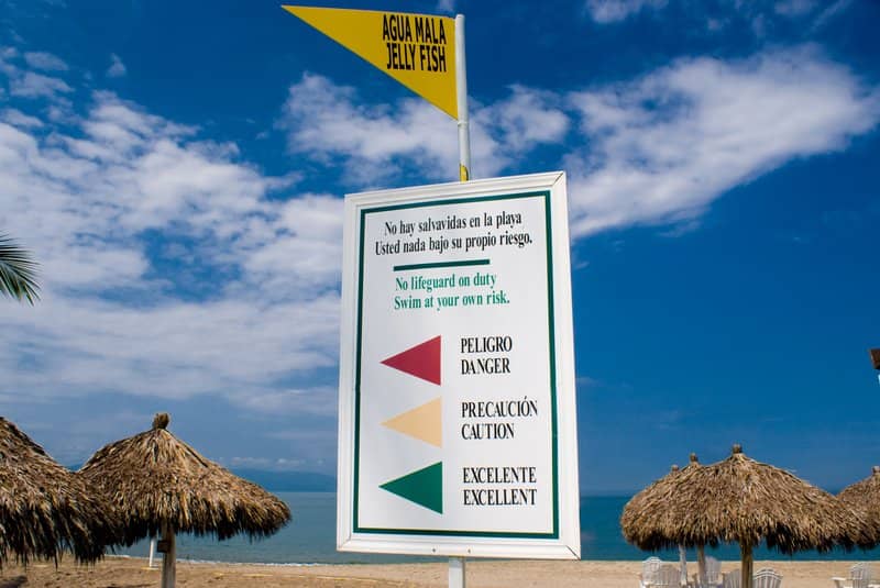 Beach flag warnings