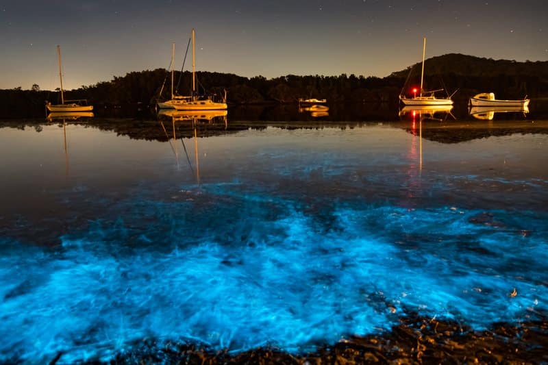 florida bioluminescence kayak tour