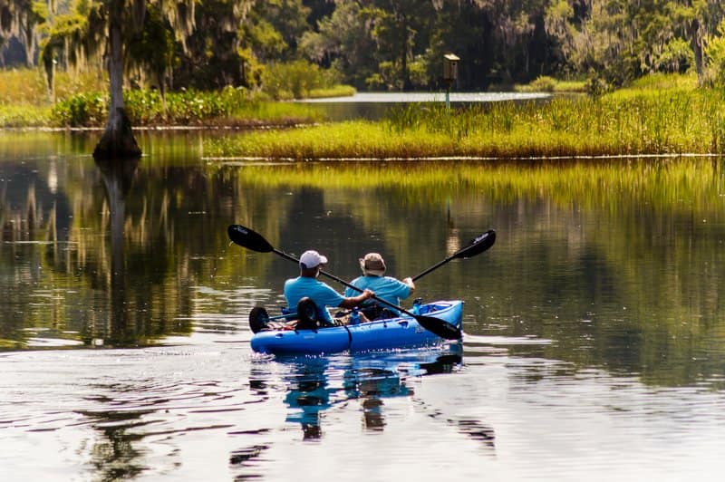 Florida manatee kayaking tour