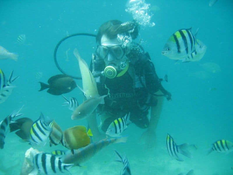 Scuba Diving with Fish / Flickr / Lee & Ayu