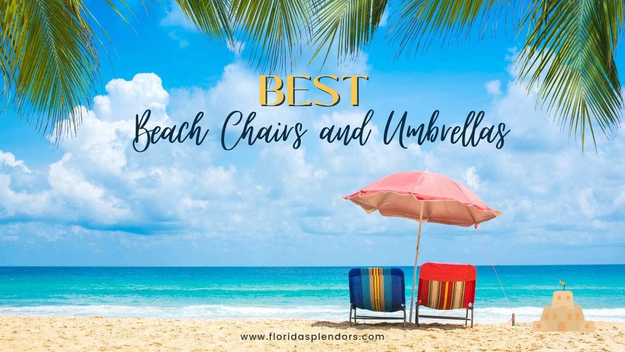 Best Beach Chairs and Umbrellas - Florida Splendors