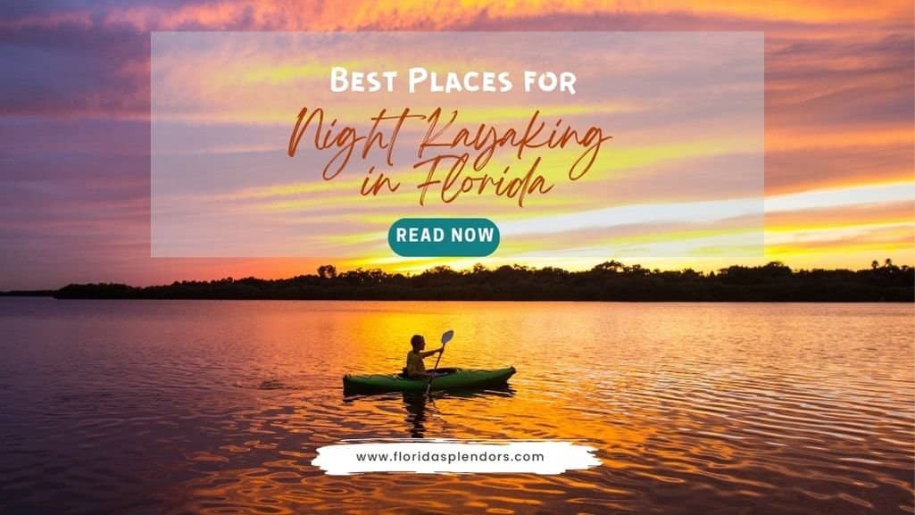Best Places for Night Kayaking in Florida
