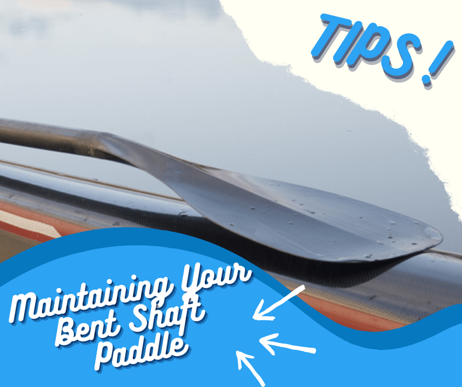 bent shaft kayak paddle