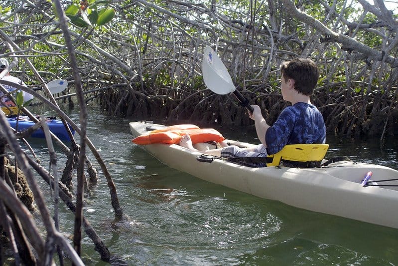 Key West Mangrove Kayak Tours / Flickr / Elizabeth Nicodemus