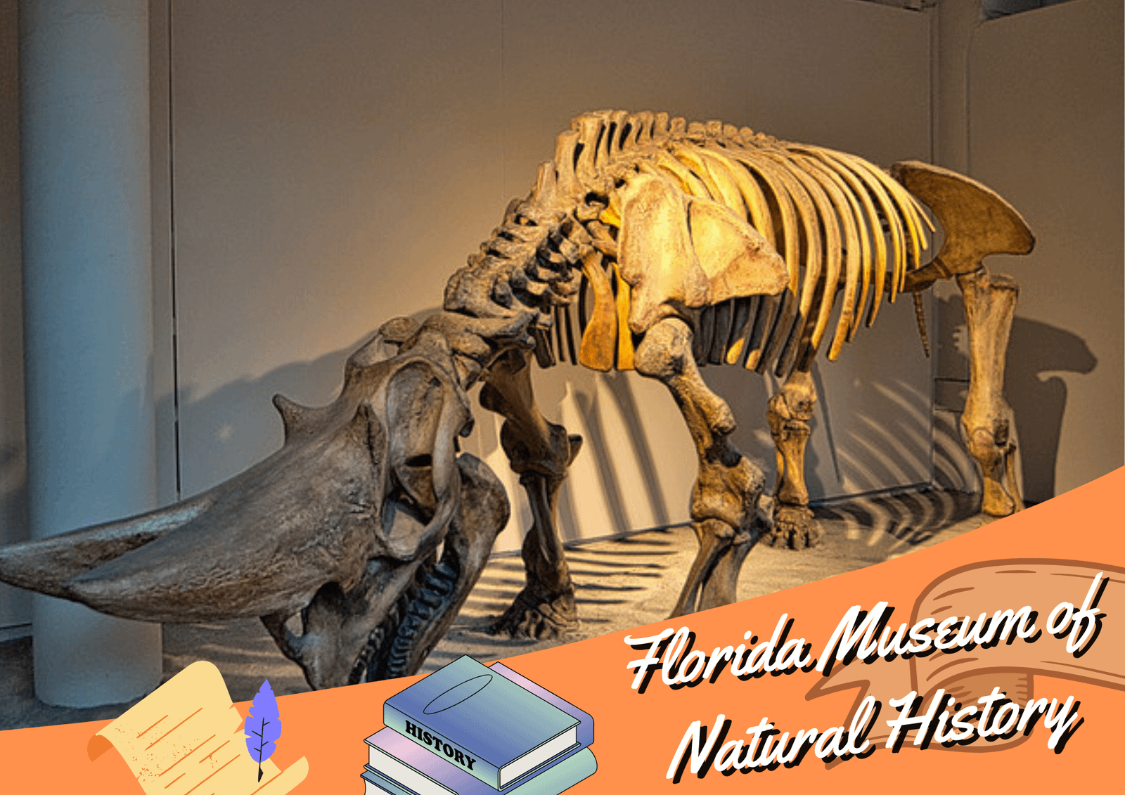 florida museums for natural history