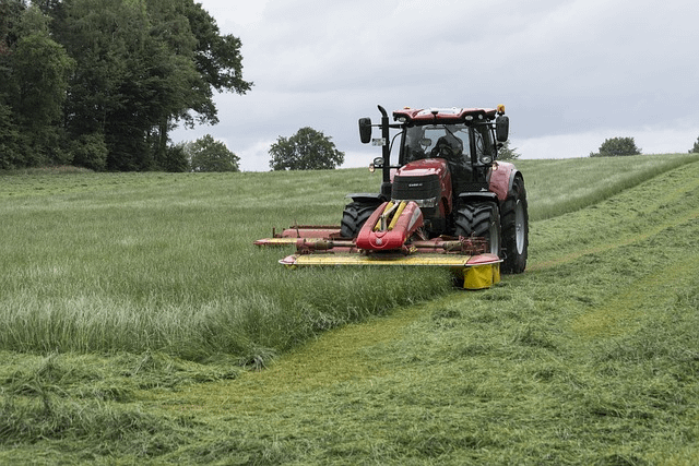 mowing, tractor, mow