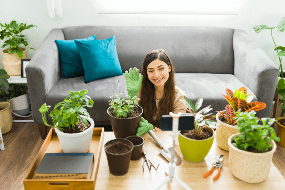 Does Talking to Plants Help Them Grow?