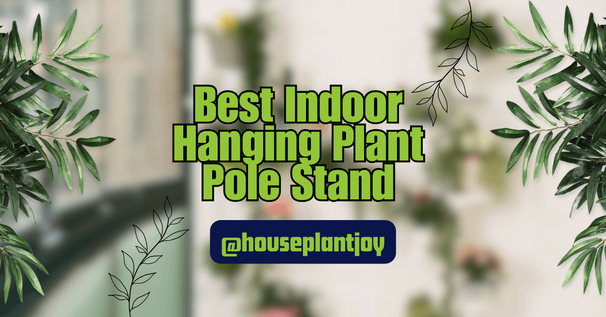 Best Indoor Hanging Plant Pole Stand