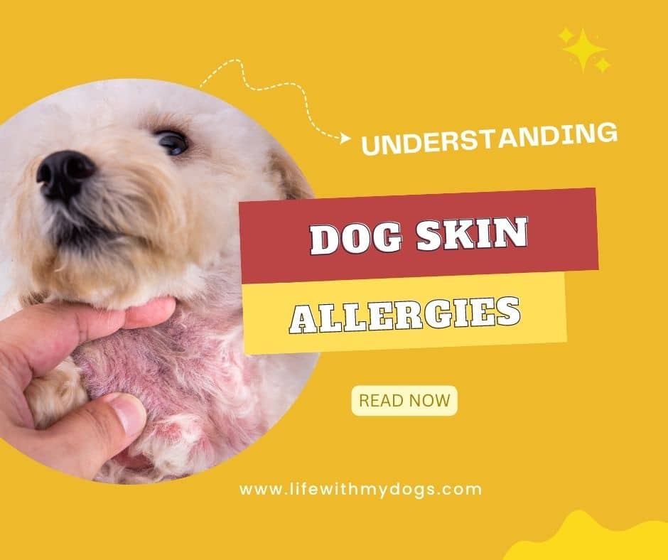 Understanding Dog Skin Allergies - Life With My Dogs