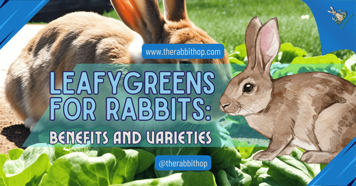 Leafy Greens for Rabbits: Benefits and Varieties - The Rabbit Hop