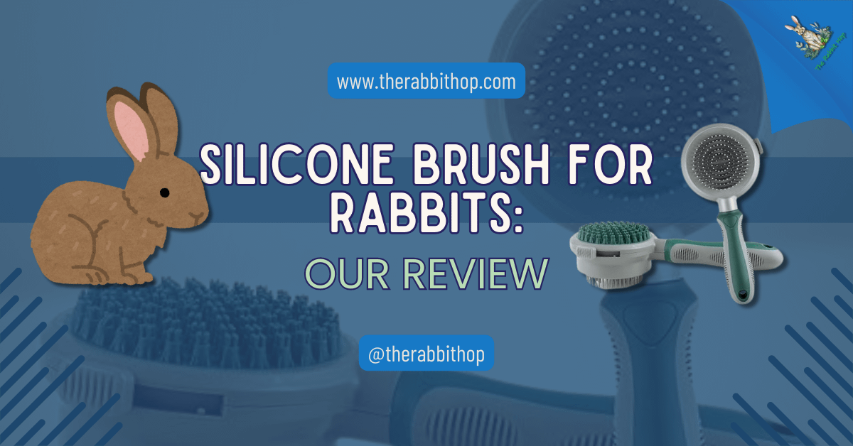 Silicone Brush for Rabbits: Our Review - The Rabbit Hop